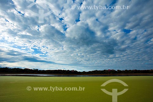  Subject: Landscape at Barranco Alto Farm / Place: Aquidauana city - Mato Grosso do Sul state (MS) - Brazil / Date: 05/2010 