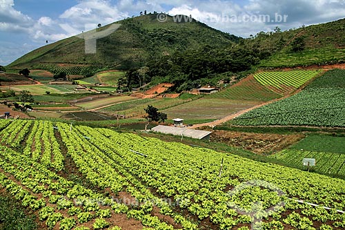  Subject: Plantation of vegetables / Place: Teresopolis city - Rio de Janeiro state (RJ) - Brazil / Date: 12/2012 