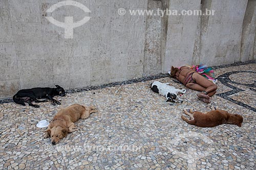  Subject: Homeless living with dogs at Marques de Olinda Avenue / Place: Recife city - Pernambuco state (PE) - Brazil / Date: 02/2013 