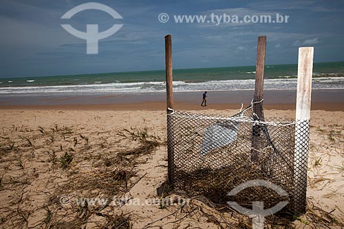  Subject: Hawksbill sea turtle (Eretmochelys imbricata) nest at Intermares Beach - Urban Turtle Project (NGO Guajiru) / Place: Cabedelo city - Paraiba state (PB) - Brazil / Date: 02/2013 