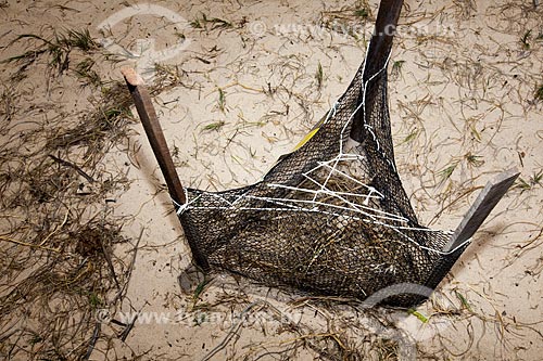  Subject: Hawksbill sea turtle (Eretmochelys imbricata) nest at Intermares Beach - Urban Turtle Project (NGO Guajiru) / Place: Cabedelo city - Paraiba state (PB) - Brazil / Date: 02/2013 