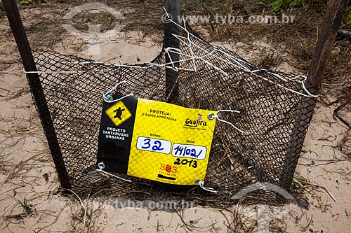  Subject: Hawksbill sea turtle (Eretmochelys imbricata) nest at Intermares Beach - Urban Turtle Project (NGO Guajiru) / Place: Cabedelo city - Paraiba state (PB) - Brazil / Date: 02/2013 