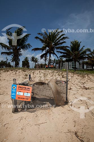  Subject: Hawksbill sea turtle (Eretmochelys imbricata) nest at Intermares Beach - Urban Turtle Project (NGO Guajiru) / Place: Cabedelo city - Paraiba state (PB) - Brazil / Date: 02/2013 