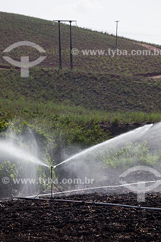  Subject: Irrigation at planting sugarcane at Uruae Mill / Place: Goiana city - Pernambuco state (PE) - Brazil / Date: 02/2013 