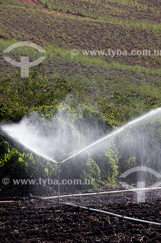  Subject: Irrigation at planting sugarcane at Uruae Mill / Place: Goiana city - Pernambuco state (PE) - Brazil / Date: 02/2013 