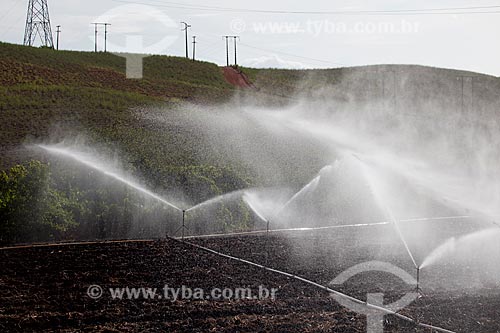  Subject: Irrigation at planting sugarcane at Uruae Mill / Place: Goiana city - Pernambuco state (PE) - Brazil / Date: 02/2013 