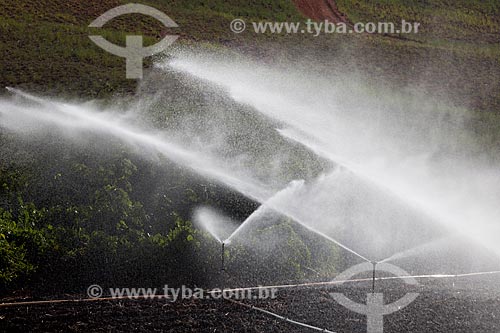  Subject: Irrigation at planting sugarcane at Uruae Mill / Place: Goiana city - Pernambuco state (PE) - Brazil / Date: 02/2013 