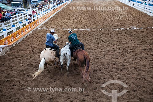  Subject: Vaquejada at Santa Terezinha Park / Place: Alagoa Grande city - Paraiba state (PB) - Brazil / Date: 02/2013 