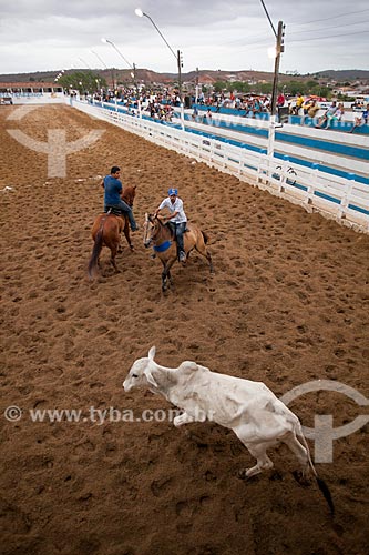  Subject: Vaquejada at Santa Terezinha Park / Place: Alagoa Grande city - Paraiba state (PB) - Brazil / Date: 02/2013 