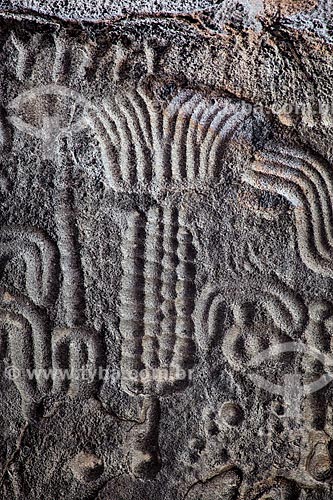  Subject: Inga Stone - also known as Itacoatiaras of Inga - in the Pedra Lavrada Sitio / Place: Inga city - Paraiba state (PB) - Brazil / Date: 02/2013 