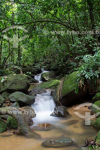  Subject: River on Tijuca Forest / Place: Alto da Boa Vista neighborhood - Rio de Janeiro city - Rio de Janeiro state (RJ) - Brazil / Date: 04/2013 