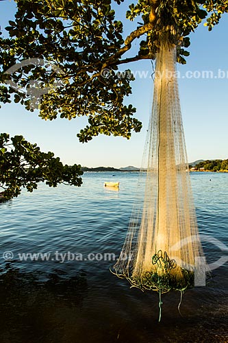  Subject: Fishing net drying in sun on the beach Ribeirao da Ilha / Place: Florianopolis city - Santa Catarina state (SC) - Brazil / Date: 04/2013 