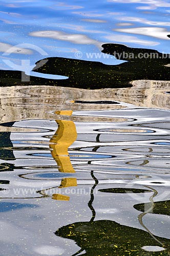  Subject: Reflection in water of the Tiete River / Place: Barbosa city - Sao Paulo state (SP) Brazil / Date: 03/2013 