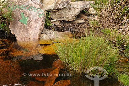  Subject: Source of Sao Francisco River in Serra da Canastra National Park / Place: Sao Roque de Minas city - Minas Gerais sate ( MG ) - Brazil / Date: 03/2013 