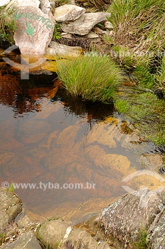  Subject: Source of Sao Francisco River in Serra da Canastra National Park / Place: Sao Roque de Minas city - Minas Gerais sate ( MG ) - Brazil / Date: 03/2013 