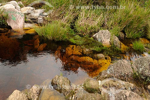  Subject: Source of Sao Francisco River in Serra da Canastra National Park / Place: Sao Roque de Minas city - Minas Gerais sate ( MG ) - Brazil / Date: 03/2013 