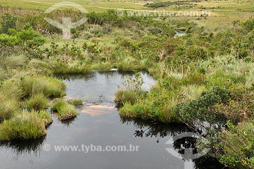  Subject: Source of Sao Francisco River in Serra da Canastra National Park / Place: Sao Roque de Minas city - Minas Gerais sate (MG) - Brazil / Date: 03/2013 