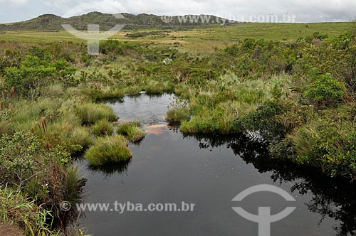  Subject: Source of Sao Francisco River in Serra da Canastra National Park / Place: Sao Roque de Minas city - Minas Gerais sate (MG) - Brazil / Date: 03/2013 