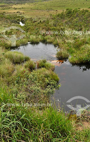  Subject: Source of Sao Francisco River in Serra da Canastra National Park / Place: Sao Roque de Minas city - Minas Gerais sate (MG) - Brazil / Date: 03/2013 