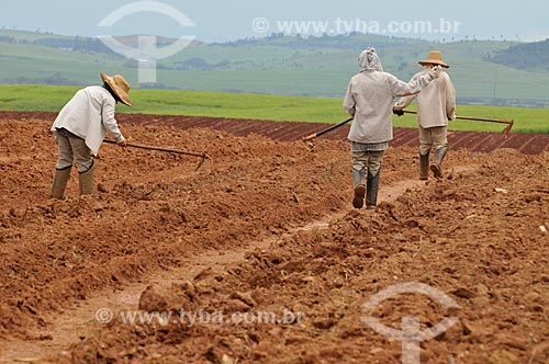  Subject: Farm worker plowing the land for planting of sugarcane / Place: Delfinopolis city - Minas Gerais state (MG) - Brazil / Date: 03/2013 