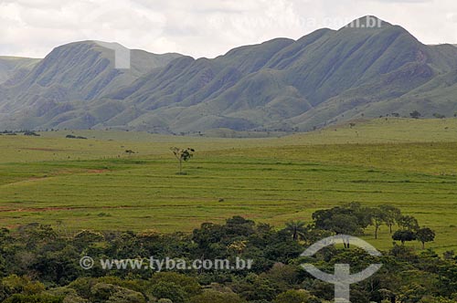  Subject: Gurita Valley in Canastra Mountain Range / Place: Delfinopolis city - Minas Gerais state (MG) - Brazil / Date: 03/2013 