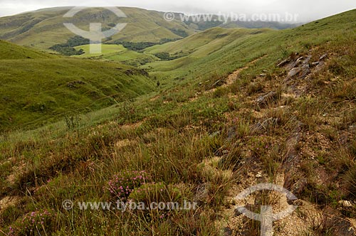  Subject: View of Canteiros Valley at Canastra Mountain Range / Place: Sao Joao Batista do Gloria city - Minas Gerais state (MG) - Brazil / Date: 03/2013 