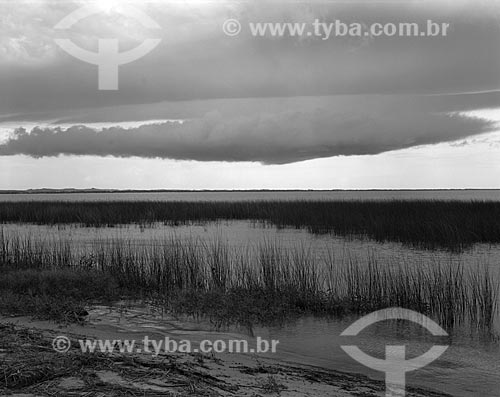  Subject: Patos Lagoon / Place: Sao Lourenco do Sul city - Rio Grande do Sul state (RS) - Brazil / Date: 1987 