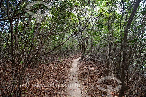  Subject: Trail in Ecological Sanctuary of Pipa / Place: Tibau do Sul city - Rio Grande do Norte state (RN) - Brazil / Date: 03/2013 