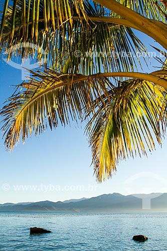  Subject: Ribeirao da Ilha Beach / Place: Ribeirao da Ilha neighborhood - Florianopolis city - Santa Catarina state (SC) - Brazil / Date: 05/2013 