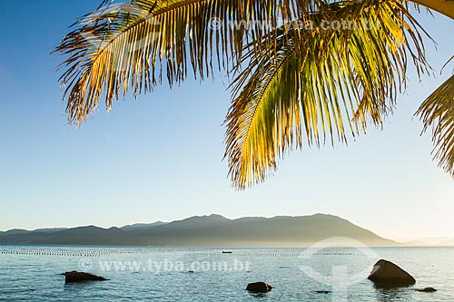  Subject: Ribeirao da Ilha Beach / Place: Ribeirao da Ilha neighborhood - Florianopolis city - Santa Catarina state (SC) - Brazil / Date: 05/2013 