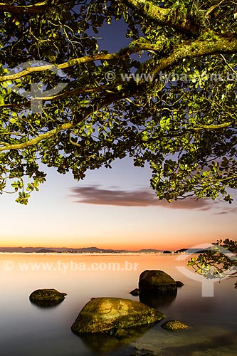  Subject: Ribeirao da Ilha Beach / Place: Ribeirao da Ilha neighborhood - Florianopolis city - Santa Catarina state (SC) - Brazil / Date: 06/2013 