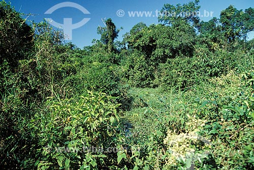  Subject: Flooded area of Poco das Antas Biological Reserve between the cities of Silva Jardim and Casimiro de Abreu / Place: Silva Jardim city - Rio de Janeiro state (RJ) - Brazil / Date: 2008 