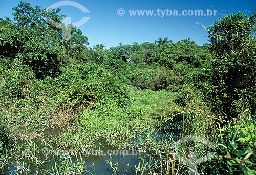  Subject: Flooded area of Poco das Antas Biological Reserve between the cities of Silva Jardim and Casimiro de Abreu / Place: Silva Jardim city - Rio de Janeiro state (RJ) - Brazil / Date: 2008 