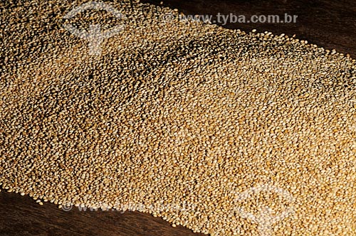  Subject: Millet raw grains / Place: Sao Jose do Rio Preto city - Sao Paulo state (SP) - Brazil / Date: 07/2013 