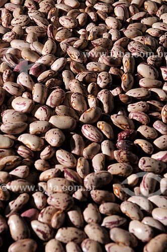  Subject: Beans rajado (beans brindle) raw grains / Place: Sao Jose do Rio Preto city - Sao Paulo state (SP) - Brazil / Date: 07/2013 