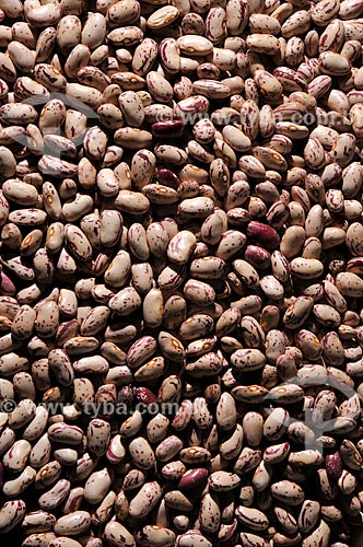  Subject: Beans rajado (beans brindle) raw grains / Place: Sao Jose do Rio Preto city - Sao Paulo state (SP) - Brazil / Date: 07/2013 