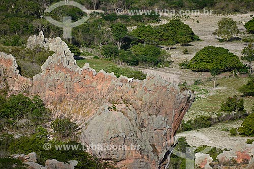  Subject: Goat with cub on top of rock formation / Place: Custodia city - Pernambuco state (PE) - Brazil / Date: 06/2013 