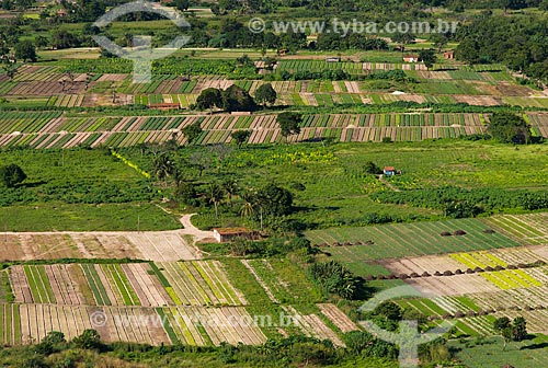  Subject: Aerial view of kitchen gardens / Place: Parque Dois Irmaos neighborhood - Fortaleza city - Ceara state (CE) - Brazil / Date: 06/2013 