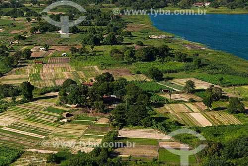  Subject: Aerial view of kitchen gardens on the banks of Sao Jorge Dam / Place: Parque Dois Irmaos neighborhood - Fortaleza city - Ceara state (CE) - Brazil / Date: 06/2013 