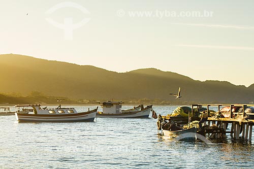  Subject: Fishing boats moored at Armaçao Beach / Place: Florianopolis city - Santa Catarina state (SC) - Brazil / Date: 07/2013 