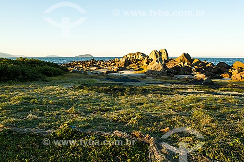  Subject: Fishing net on the grass at Armacao Beach / Place: Florianopolis city - Santa Catarina state (SC) - Brazil / Date: 07/2013 