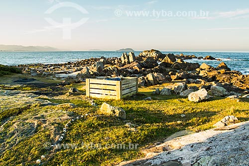  Subject: Fishing net on the grass at Armacao Beach / Place: Florianopolis city - Santa Catarina state (SC) - Brazil / Date: 07/2013 