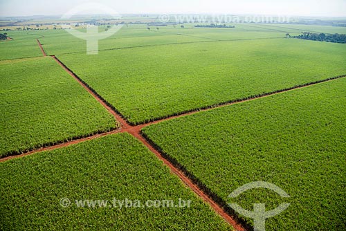  Subject: Aerial view of plantation of sugarcane / Place: Guaira city - Sao Paulo state (SP) - Brazil / Date: 05/2013 