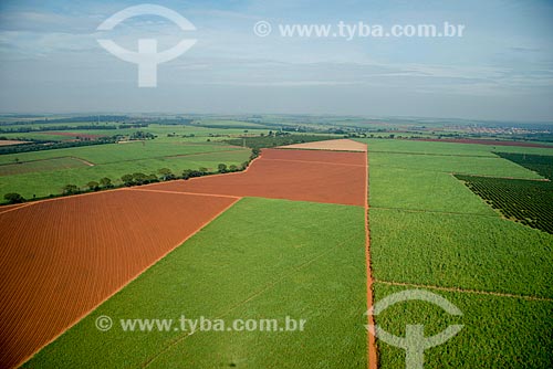  Subject: Aerial view of plantation of sugarcane / Place: Pitangueiras city - Sao Paulo state (SP) - Brazil / Date: 05/2013 