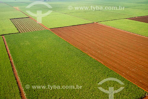  Subject: Aerial view of plantation of sugarcane / Place: Morro Agudo city - Sao Paulo state (SP) - Brazil / Date: 05/2013 