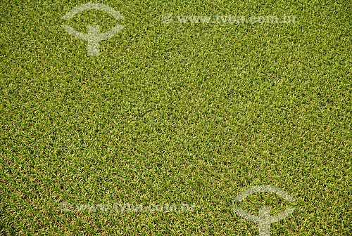  Subject: Aerial view of plantation of sugarcane / Place: Morro Agudo city - Sao Paulo state (SP) - Brazil / Date: 05/2013 