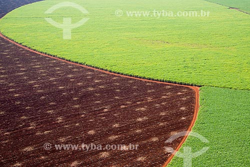  Subject: Aerial view of plantation of sugarcane / Place: Morro Agudo city - Sao Paulo state (SP) - Brazil / Date: 05/2013 