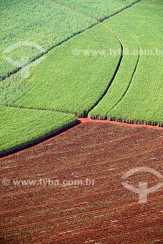  Subject: Aerial view of plantation of sugarcane / Place: Morro Agudo city - Sao Paulo state (SP) - Brazil / Date: 05/2013 