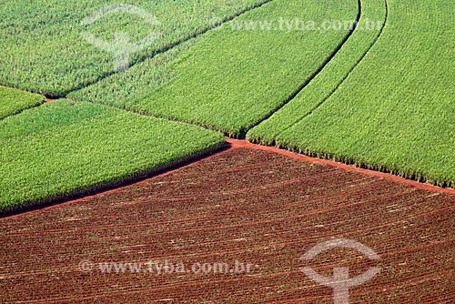  Subject: Aerial view of plantation of sugarcane / Place: Morro Agudo city - Sao Paulo state (SP) - Brazil / Date: 05/2013 