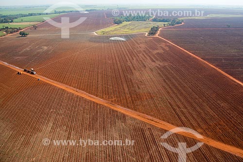  Subject: Aerial view of irrigation in plantation of sugarcane / Place: Guaira city - Sao Paulo state (SP) - Brazil / Date: 05/2013 